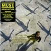 Absolution Gold Stamped Promo.jpg