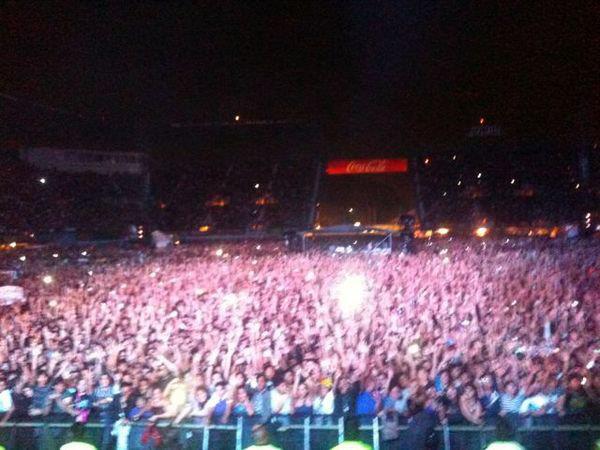 File:MuseTwitterPicForoSol.jpg