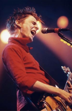 Matt on stage at Pinkpop Festival