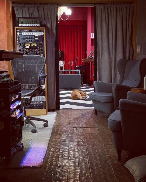 File:2021-13-06 StudioDogAVK.jpg