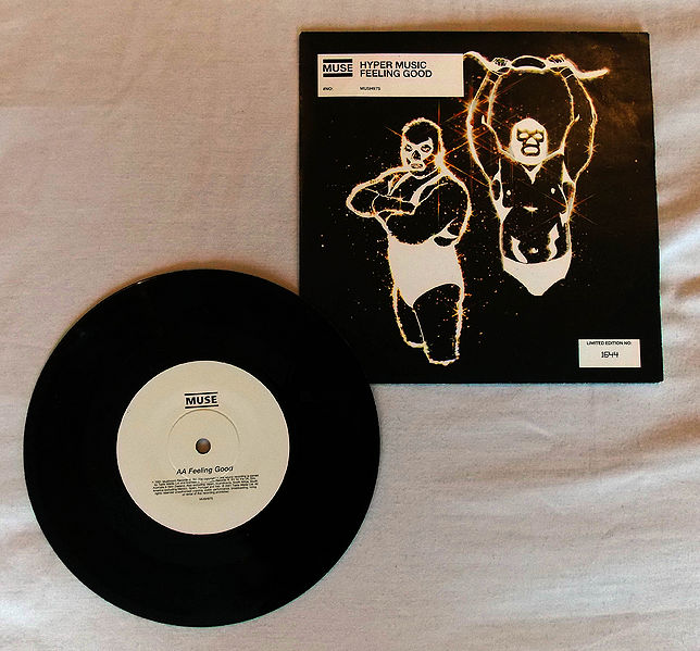File:HM 7'' Vinyl.jpg