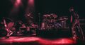 MuseShepBush17 7.jpg