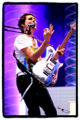 Muse 04p.jpg