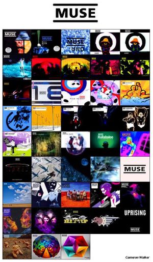 Muse Discography.JPG