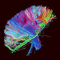 Thumbnail for version as of 17:58, 30 July 2012