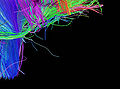 Thumbnail for version as of 13:54, 7 August 2012